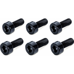 Schaller Floyd Rose Saddle Mounting Screws