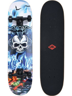 Schildkrot Grinder 31 Inferno Skateboard Blue/White 510681