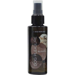 PQP Άρωμα Σκύλου Blossom 100ml