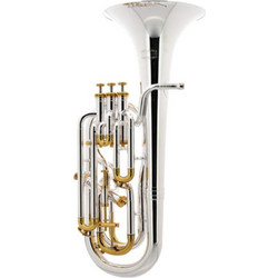 Thomann BR 801GP+ Superior Baritone