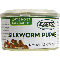 Canned Silkworm Pupae 35g
