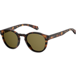Polaroid Eyewear PLD6042/S 086/SP Γυναικεία Γυαλιά Ηλίου Στρογγυλά Κοκάλινα Καφέ με Μαύρο Polarized Φακό