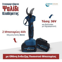 Επαναφορτιζόμενο Ψαλίδι Κλαδέματος Με Brushless Μοτέρ με 2 Μπαταρίες 36V 4Ah Starmen BH-CS-C30