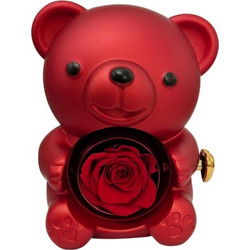 Κοσμηματοθήκη αρκουδάκι με forever rose αληθινό τριαντάφυλλο