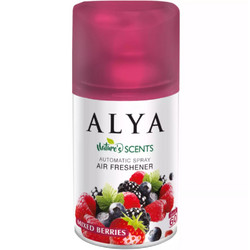 ALYA ΑΡΩΜΑΤΙΚΑ ΧΩΡΟΥ ΑΝΤ/ΚΤΙΚΑ 250ml MIXED BERRIES