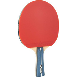 Joola Team Premium 52002