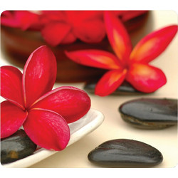 Fellowes Earth Series Wellness Flowers