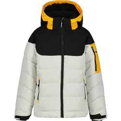 Icepeak Latta Παιδικό Μπουφάν Χειμωνιάτικο Puffer Αδιάβροχο Αντιανεμικό Γκρι 50063567I-202