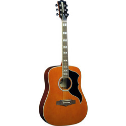 Eko Guitars Ranger VI VR Natural