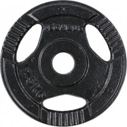 Pegasus Δίσκος Μεταλλικός 2.5kg Φ29mm