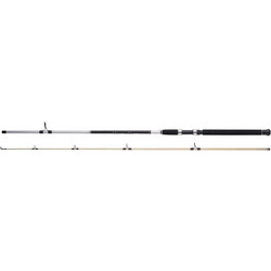 WFT Loom AAL Spezial Καλάμι Ψαρέματος για Casting Carbon Δίσπαστο 2.7m 40-90gr
