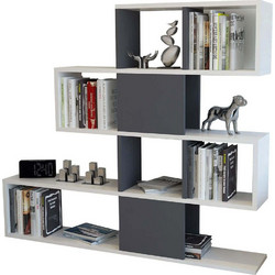 Hanah Home Karlin Βιβλιοθήκη 120x19.5x109cm 322RTC1103