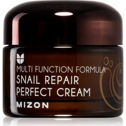 Mizon Multi Function Formula Snail Cream 50ml