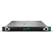 HPE ProLiant DL320 Gen11 (Intel Xeon Silver-4510/64GB DDR5/2x480GB SSD/2x1000W/FreeDos)