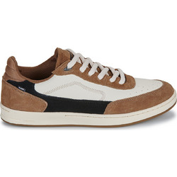 Globe Holand Ανδρικά Sneakers Ταμπά GBHOLAND-16346