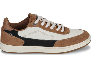 Globe Holand Ανδρικά Sneakers Ταμπά GBHOLAND-16346