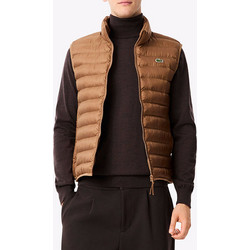 Lacoste Αμάνικο Ανδρικό Μπουφάν Puffer Καφέ 3BH2886-PWS