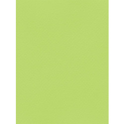 Favini Χαρτόνι Κανσόν Πράσινο 50x70cm 831.5070.15T