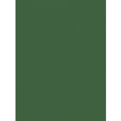 Favini Χαρτόνι Κανσόν Κυπαρισσί 70x100cm 831.70100.17T