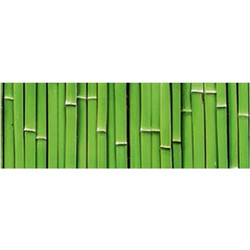 Ursus Bamboo Χαρτόνι Κολάζ Πράσινο 50x68cm 187127118