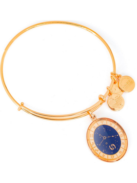 Alex and Ani Γυναικείο Βραχιόλι Βέργα Xρυσό A15EB60YG