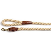 Glee Sand Λουρί Σκύλου 1.5m x 15mm Μπεζ