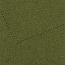 Canson Mi-Teintes Χαρτόνι Κανσόν Χακί 50x65cm 105322448