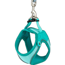 Max & Molly Air Vest Σαμαράκι Σκύλου Γιλέκο Τιρκουάζ Medium