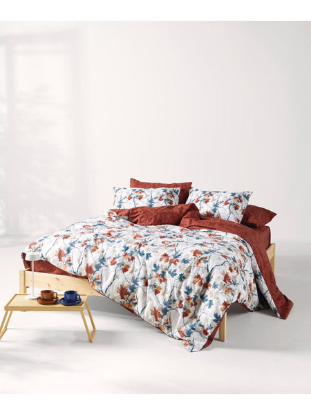 Kentia Σετ Σεντόνια Υπέρδιπλα Βαμβακερά 240x270 Sparrow