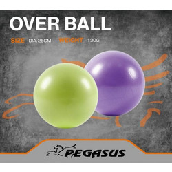 Pegasus(R) Μπάλα Γυμναστικής Pilates 25cm (Μωβ) Β-1510-PL