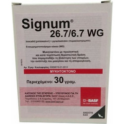 Signum 26.7/6.7 wg