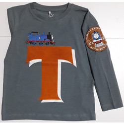 Name It Παιδικό T-Shirt Μακρυμάνικο Ανθρακί 13191895