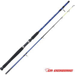 Sim Engineering Sea Lion Καλάμι Ψαρέματος για Καθετή Carbon Δίσπαστο 2.1m 100-350gr
