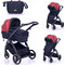 Lorelli Adria Καρότσι Μωρού 2 σε 1 Black & Red 10021452006R Lorelli Adria Καρότσι Μωρού 2 σε 1 Black & Red 10021452006R