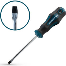Κατσαβίδι ίσιο 4x100mm BORMANN PRO BHT7052 045991