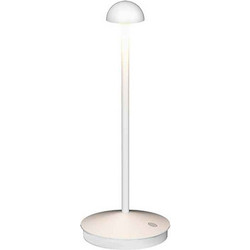 Zambelis Lights E313