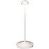 Zambelis Lights E313