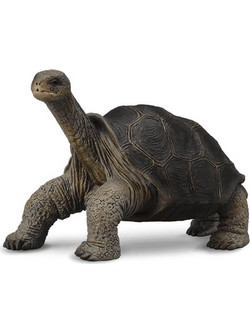 Collecta Ζώα Ζούγκλας Χελώνα Νήσου Πίντα 88619