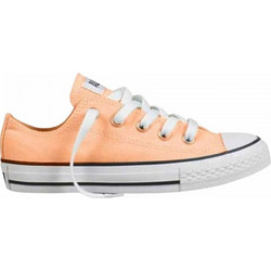 Converse Chuck Taylor All Star 336819C