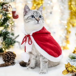 Oh my Christmas Box σκύλου - γάτας Large