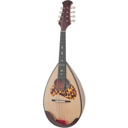 Atsushi Miyano Round Back Mandolin M-2 MG