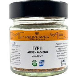 ΓΥΡΗ ΑΠΟΞΗΡΑΜΕΝΗ 100gr