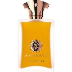 Amouage Overture Eau de Parfum 100ml