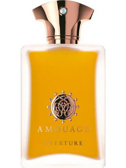 Amouage Overture Eau de Parfum 100ml
