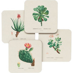 Σετ 4 Σουβέρ BOTANICAL Cacti by Kokonote