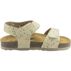 Plakton 135448-01 Gold Glitter