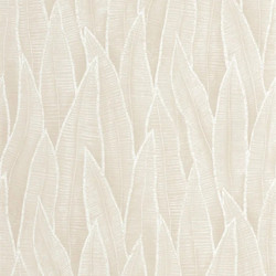ΤΑΠΕΤΣΑΡΙΑ ΤΟΙΧΟΥ SANSEVIERIA 68084 (10,05μ Ύψος x 0,53μ Πλάτος)