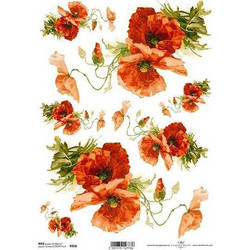 Ριζόχαρτο red anemone 21x29εκ. (ITD-R958)