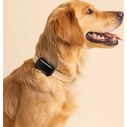Tractive TRDOG6BK GPS Pet Tracker Σκύλου Black (Τεμάχιο)