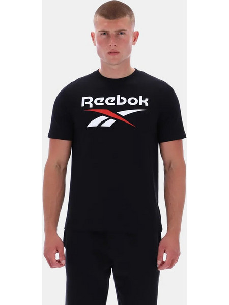 Reebok Classics Bruno Big Logo Ανδρικό T-Shirt 100240887 Black